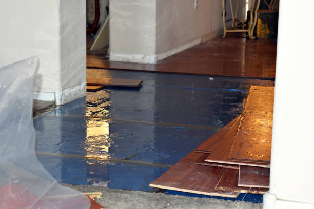 Professional Sewage Cleanup technician working in Rochert, MN