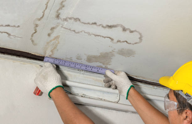 Reliable Sewage Cleanup contractor in Rochert, MN by Water Damage Irwin